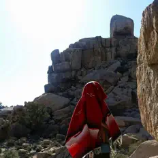 收听 dolphinbrain、观看音乐视频、阅读小传、查看巡演日期等 ！