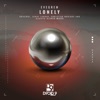 Lonely cover art