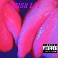 Miss Lit (feat. Dre $tokes & DillonTheLion) - Single - Madd Rich