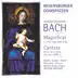 Magnificat in E-Flat Major, BWV 243a: VII. Freut euch und jubiliert (Quartetto) song reviews