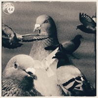 Gray Feathers (feat. Quelle Chris, The Bizkid, Saah Deluge & 3two) - Single - Channelcasper