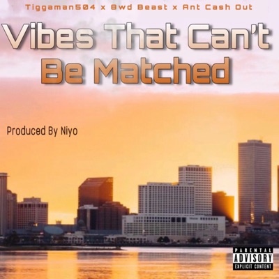 Vibes That Can't Be Matched (feat. 8wd Beast & AP9) - Single