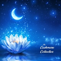 Bloom - Single - The Cashmere Collective