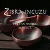 Zibra Inguzu - Amplector