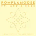 I Will Survive + This Love (Mashup)