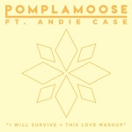 I Will Survive + This Love Mashup