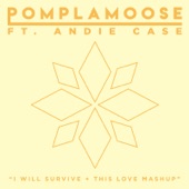 I Will Survive + This Love Mashup (feat. Andie Case) artwork