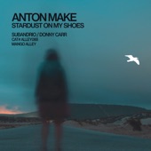 Stardust on My Shoes (Subandrio Remix) artwork