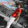 Splurge Pt. 2 (feat. RRMC K-ROB) - Single