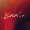 Señorita (Originally Performed by Shawn Mendes and Camila Cabello) (Instrumental Karaoke)