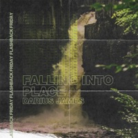 Falling Into Place - Single - Darius James