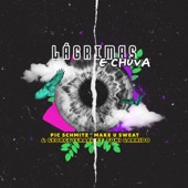Lágrimas e Chuva (feat. Toni Garrido) artwork