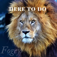 Here to Do - Single - Fogey