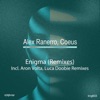 Enigma (Remixes) - Single