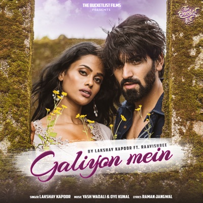 Galiyon Mein (feat. Raavishree) - Single