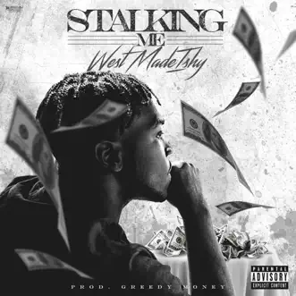 Stalking Me by Westmadeishy song reviws