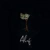 Alef - Single