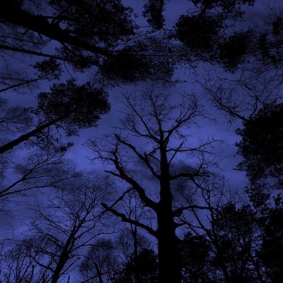 2l2rusty - Uyku(Speed Up)