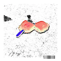 Gelatina album cover