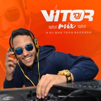 O DJ Que Toca Sucesso - Single - DJ VITOR MIX & Mc Reino
