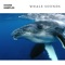 Whale Sounds With Music - Ocean Waves Radiance, Nature Recordings & Whale Song lyrics