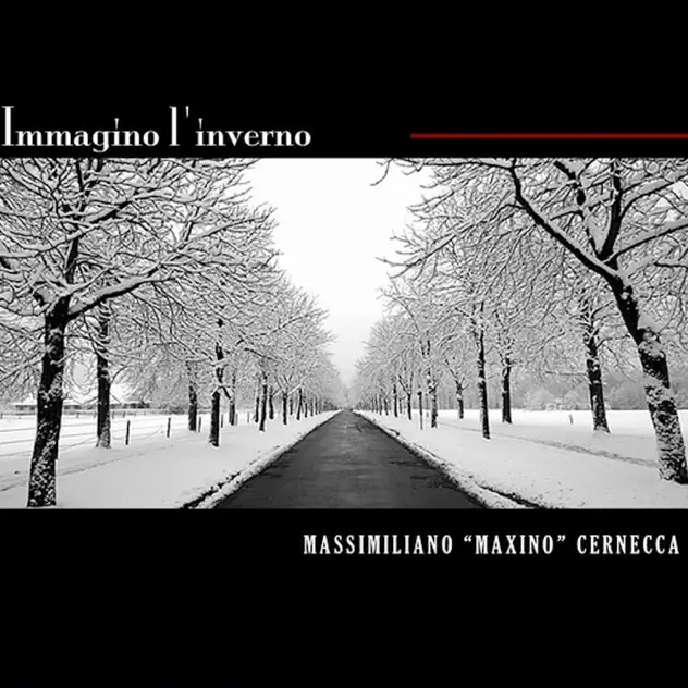 Copertina di Immagino l'inverno