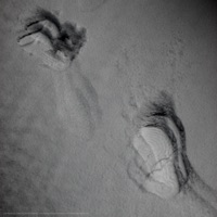 Letter - Single - DaNTe'