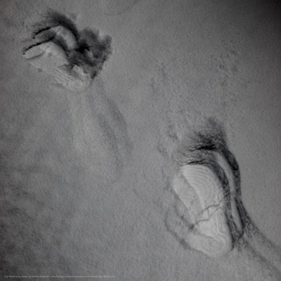 Letter - Single