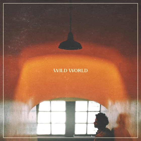 Cover artwork for Wild World