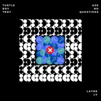 Ask No Questions (feat. Turtle Boy Troy) - Single - Layne LV