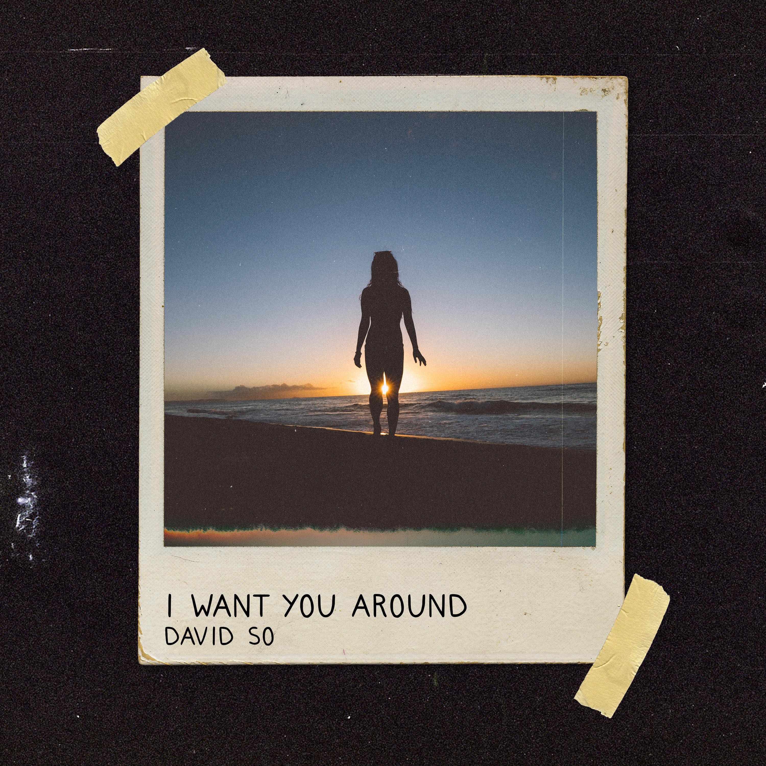 I Want You Around - Single
