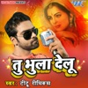 Tu Bhula Delu - EP