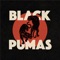 Stay Gold - Black Pumas lyrics