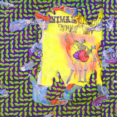 Ballet Slippers - Animal Collective