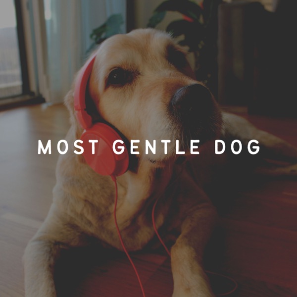 Most Gentle Dog