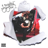 A Beautiful Disaster 2 - DreLee863