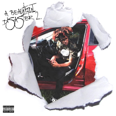 A Beautiful Disaster 2