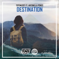 Destination (feat. Antonella Ponce) - Single - Totemlost