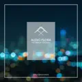Pictures In Your Mind