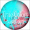 True Colors - Dally Cat.XxY lyrics