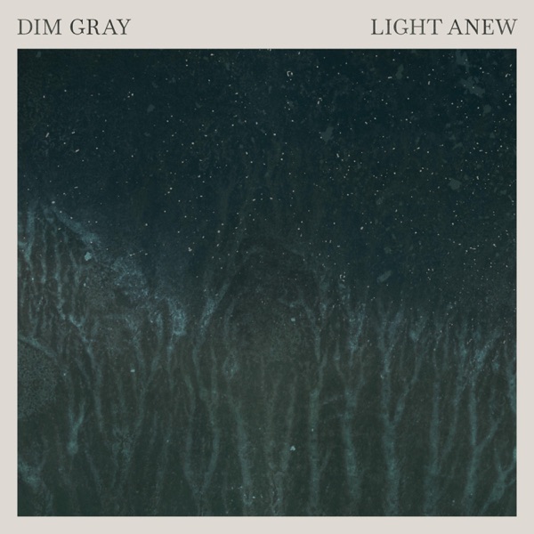 Dim Gray - Light Anew