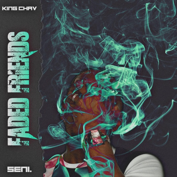 Faded Friends (feat. Seni)