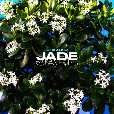 Jade - Single