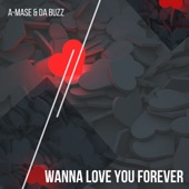 Wanna Love You Forever (Radio Edit) artwork