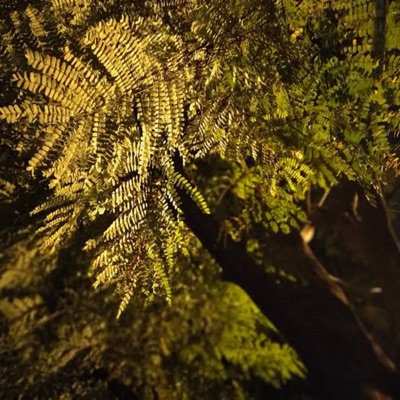Subtração Natural - Single