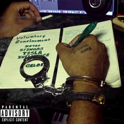 Voluntary Confinement - EP