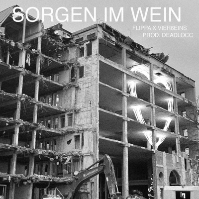 Sorgen im Wein (feat. Flippa) - Single