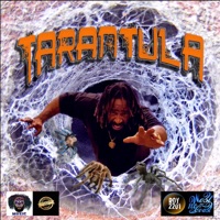 Tarantula - Single - 3rd Eye