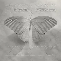 XXXTC (feat. Charli XCX & Maliibu Miitch) - Brooke Candy XXXTC (feat. Charli XCX & Maliibu Miitch) - Brooke Candy