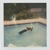 dead girl in the pool.